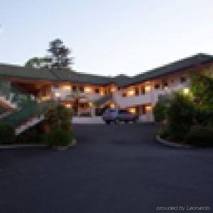 Ashwood Manor Motor Lodge Hamilton Buitenkant foto